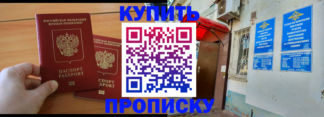 прописка штамп в Вельске